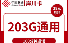 联通岸川卡29元/203G/100分钟