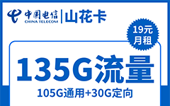 电信山花卡19元/135G