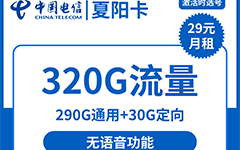 电信夏阳卡29元/320G