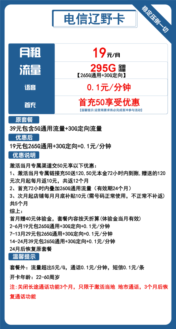 电信辽野卡19元/295G