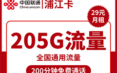 联通浦江卡29元/205G/200分钟