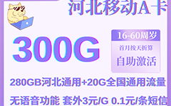 河北移动A卡29元/300G