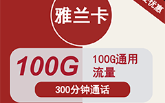 联通雅兰卡9元/100G/300分钟