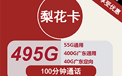 联通梨花卡30元/495G/100分钟