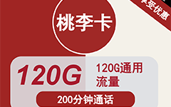 联通桃李卡29元/120G/200分钟