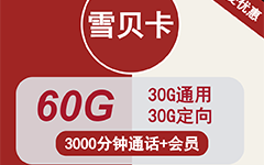 联通雪贝卡88元/60G/3000分钟