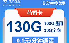 广东电信荷香卡29元/130G