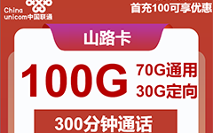 联通山路卡19元/100G/300分钟