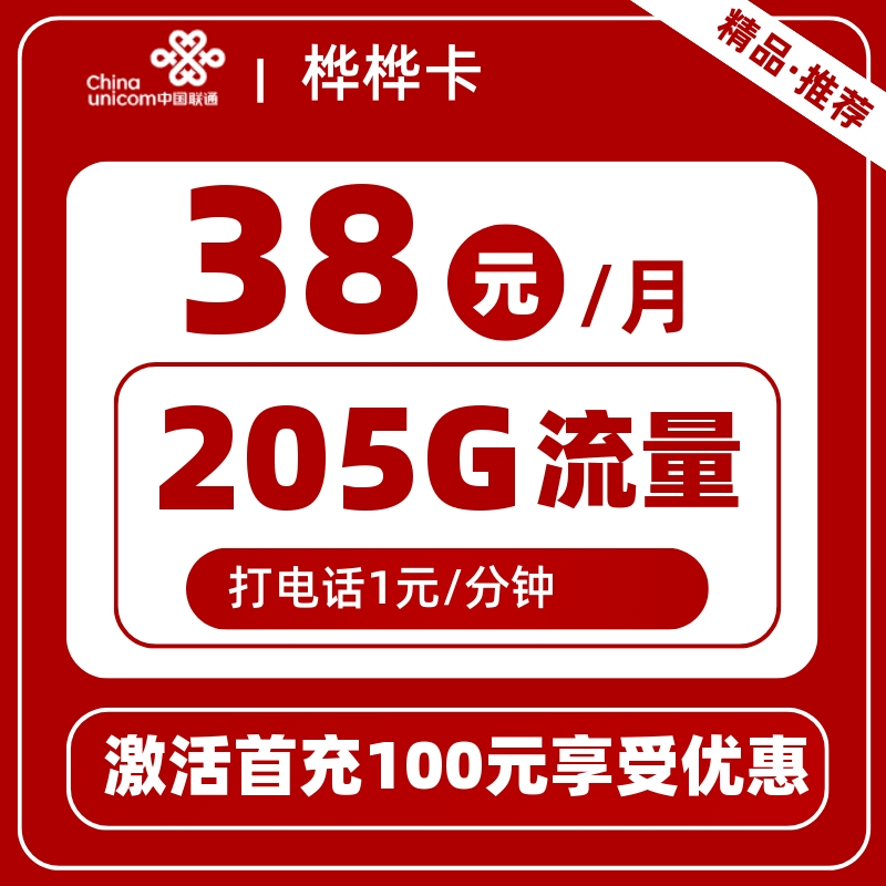 联通桦桦卡丨38元205G
